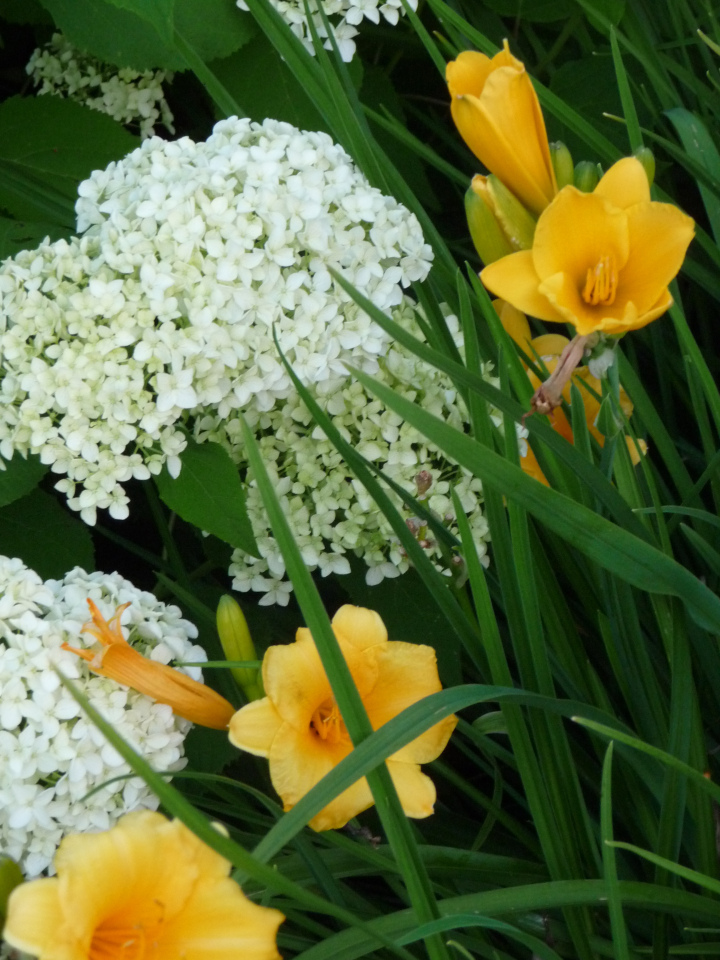 kostbare momente I homestories gartenansichten